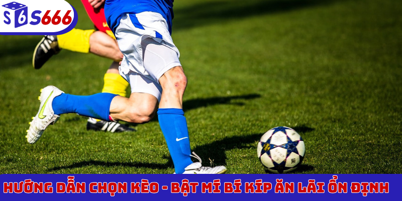 Hướng dẫn chọn kèo