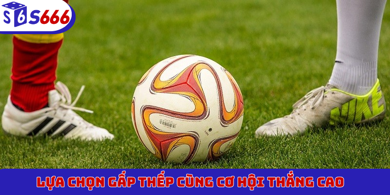 Lựa chọn gấp thếp cùng cơ hội thắng cao