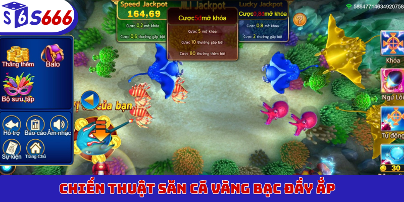 Chiến thuật săn cá vàng bạc đầy ắp