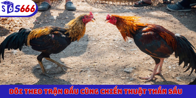 Dõi theo trận đấu cùng chiến thuật thần sầu