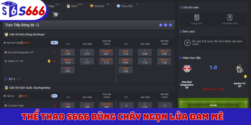 Thể thao S666 bùng cháy ngọn lửa đam mê