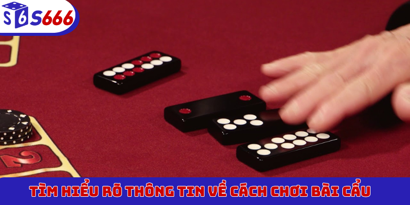 Tìm hiểu rõ thông tin về cách chơi Bài Cẩu